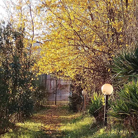 Holiday home Il Salice Bianco
