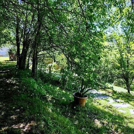 Holiday home Il Salice Bianco *